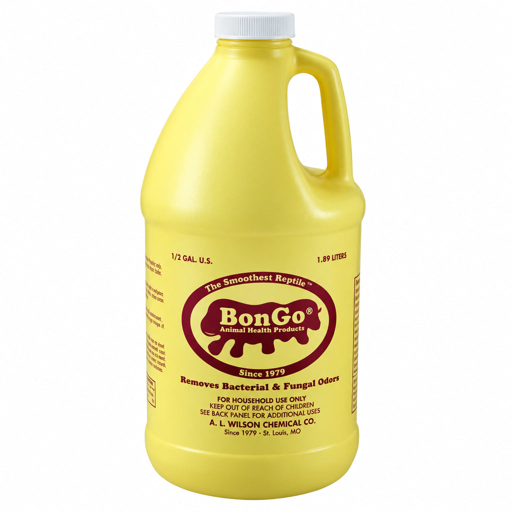Bongo - 1/2 Gal